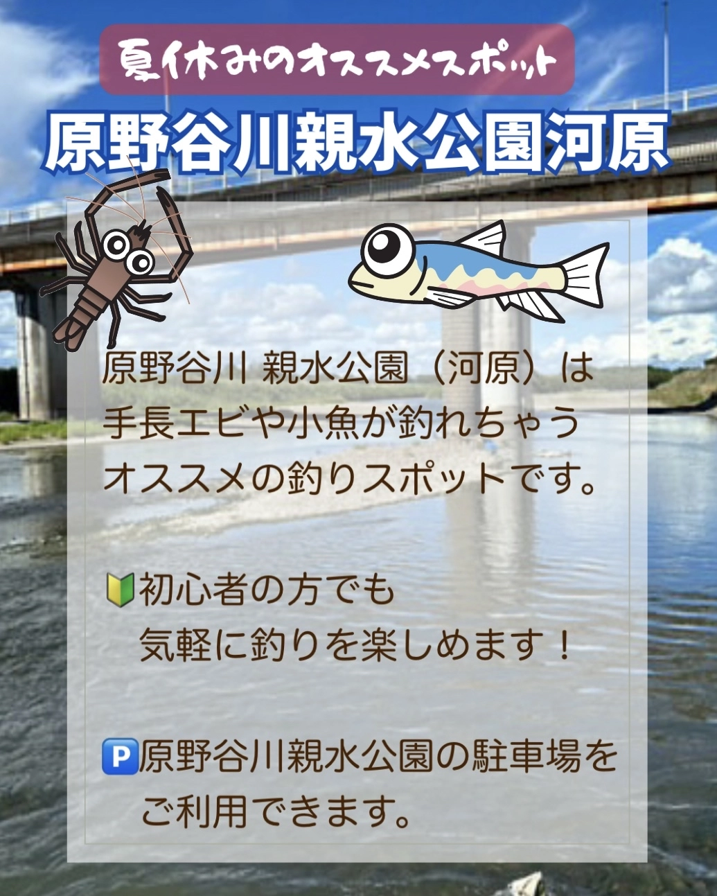 夏休みにオススメ】手長エビや小魚が釣れちゃうかも？原野谷川親水公園